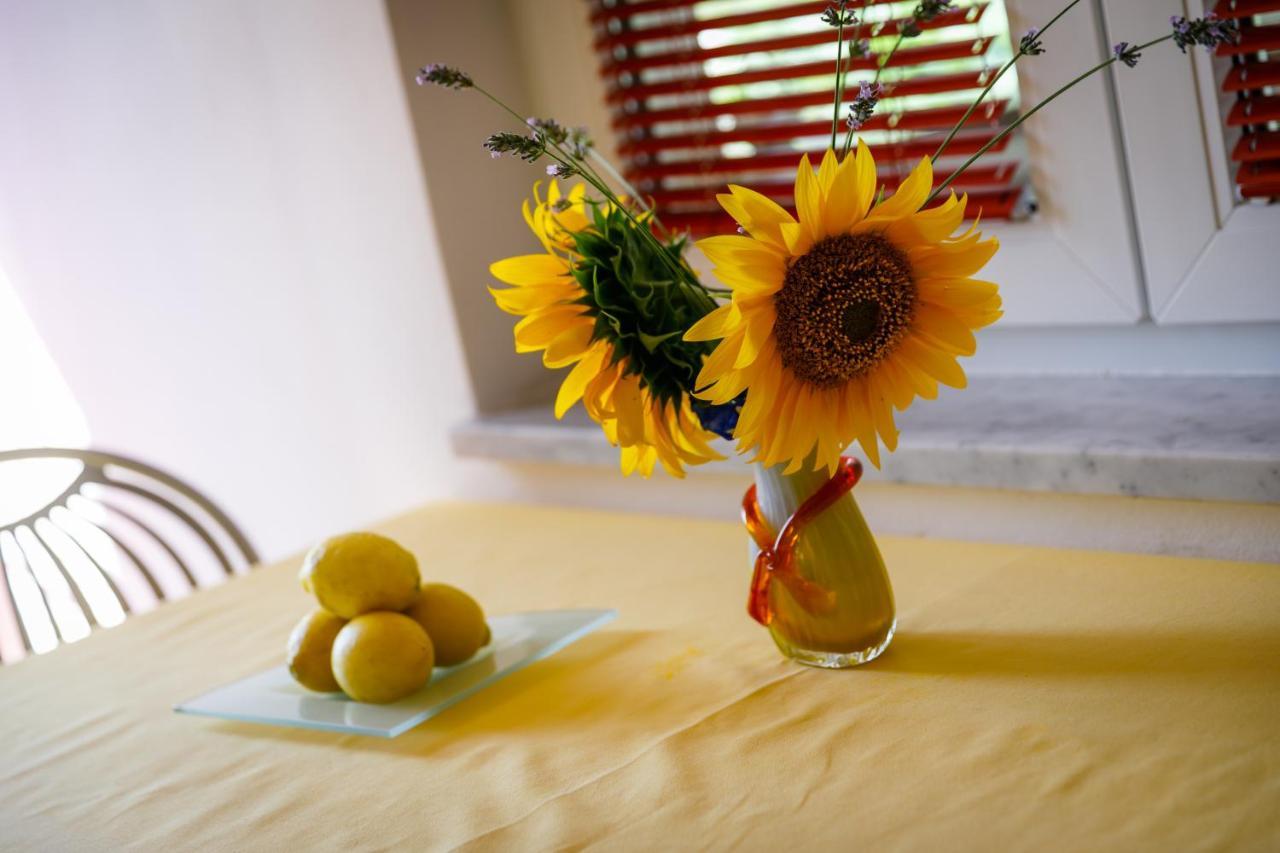Marko Apartment